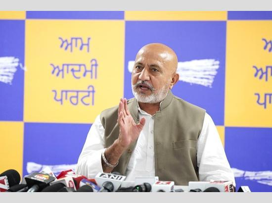 AAP questions Sukhbir Badal’s silence on Anti-Sacrilege law as Punjab enacts strict legislation