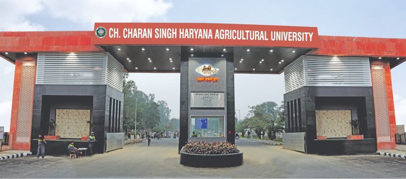 HAU registers FIR after 5 years in Rs 6.37 crore solar greenhouse fraud case