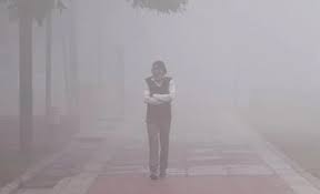 Cold Wave Alert: Haryana Schools Adjust Timings as Temperature Dips to 4°C