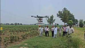 Punjab Agriculture: Farmers Move Towards 'Smart Farming' with New Drone Subsidy