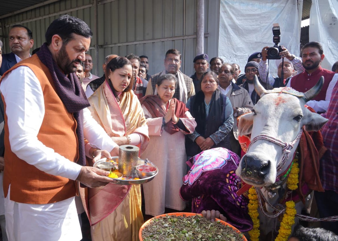 CM Nayab Singh Saini Performs 'Gau Seva' at Mata Mansa Devi Temple on 56th Birthday