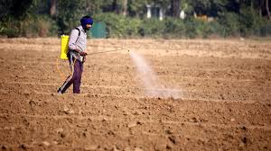 Punjab 2026: The "Export & Excellence" Revolution – A Ground Report