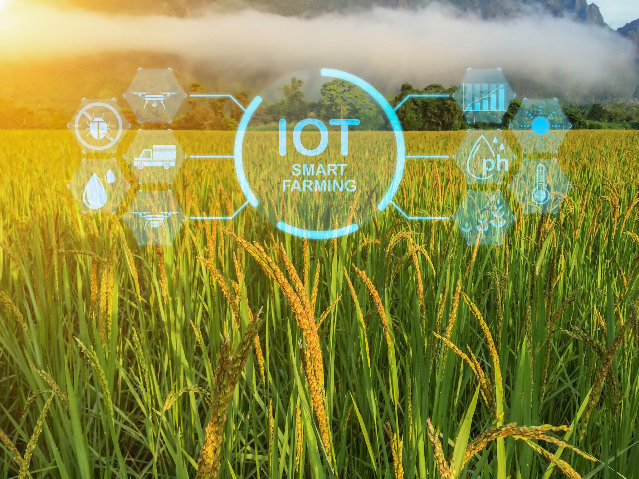 Precision Agriculture: Deploying AI-driven "Smart Farms" to optimize yield and reduce resource waste