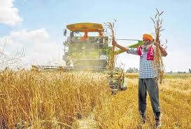 Punjab Pulse 2026: Power Plays, Green Revolutions, and the Global Diaspora