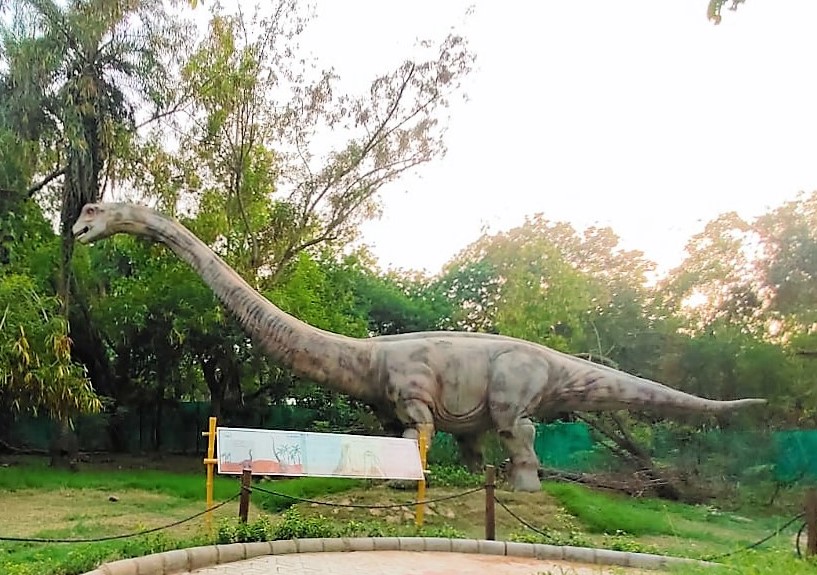 Forests Secured, Tourists Delighted: 80,508 Visitors Flock to Chhatbir Zoo in Just Two Months