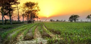 Key current affairs for **Punjab (March 3, 2026)