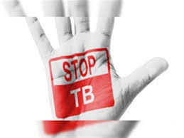 Haryana Advances in Fight Against Tuberculosis: Over 2,100 Gram Panchayats Declared TB-Free