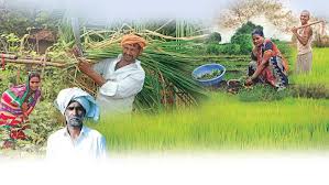 Mission Mandi: Minister Rajesh Nagar Orders "Gold Standard" Facilities for Haryana Farmers